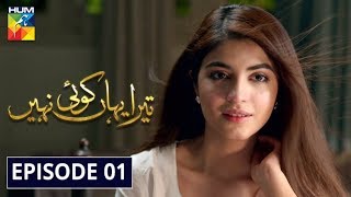 Tera Yahan Koi Nahin Episode 1 HUM TV Drama 30 December 2019 [upl. by Jacklin]