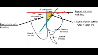 DISCUSS THE SUPRAMEATAL TRIANGLE  LOCATION BOUNDARIES CONTENT [upl. by Oswal487]