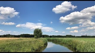 Weerbericht 18 juni Zomerse dag [upl. by Ahsikrats]