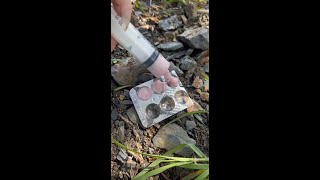 Survival Bushcraft Simple But Very Useful in Forest bushcraft camping outdoors survival shorts [upl. by Sifan]