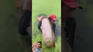 fish fisherman fishing fishermanlife fishermanslife carpfishing fishermans fishingtips [upl. by Longfellow]