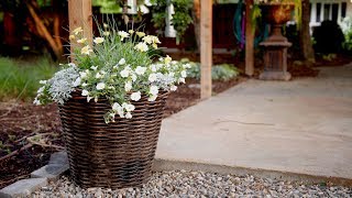 Planting a Container in Shades of White 💚🌿 Garden Answer [upl. by Nerradal670]