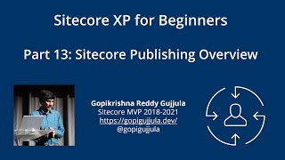 Part 13 Sitecore Publishing Overview [upl. by Naimad]