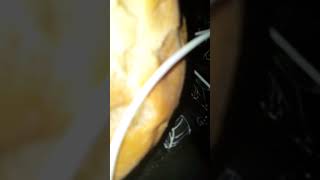 bread asmr at 550am this was recorded at 648 [upl. by Ming970]