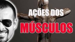 Sistema Muscular Ação dos músculos macete fácil de aprender  Anatomia Humana  VideoAula 023 [upl. by Anitnas80]