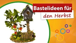 ♥ Bastelideen für den Herbst ♥ Geniale Vogelhaus Deko basteln  trendmarkt24 [upl. by Elrak184]