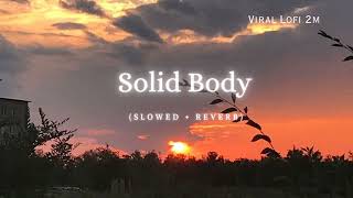 Solid Body Lofi Song  Slowed  Reverb Sheenam Katlic Raju Punjabi Haryanvi Song lofi 3dsong [upl. by Feld]