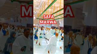 SAFA MARWA 🕋trending shorts shortsfeed shortvideo firojking7 MakkahofficialKN [upl. by Laehcor709]