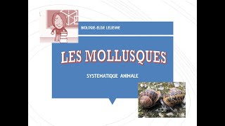 Mollusques [upl. by Lipski460]