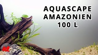 Aquascape aquarium Amazonien 100L [upl. by Aneelas]