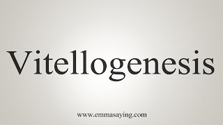 How To Say Vitellogenesis [upl. by Asertal]