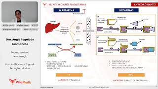 ALTERACIONES PLAQUETARIAS  HEMATOLOGÍA  VILLAMEDIC [upl. by Kathleen]