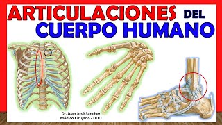 🥇 ARTICULACIONES DEL CUERPO HUMANO EN 17 minutos  Resumen [upl. by Geesey]