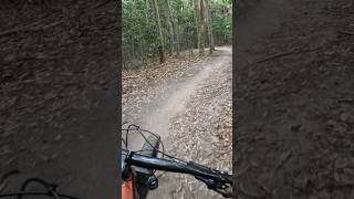 Lysterfield blare witch mountainbike mtbbikes mtb [upl. by Margarette]