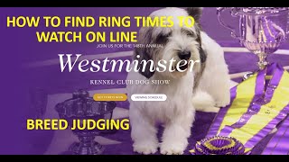 How to Watch Westminster Breed Judging How to Find the Ring Number and Time [upl. by Banna]