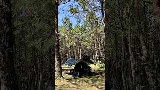 Naturehike Ango 3 Black Review naturehikeindonesia campervan [upl. by Naillig]