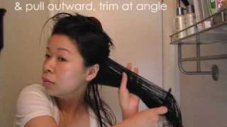 How to Trim Layered Hair [upl. by Ahsiela]