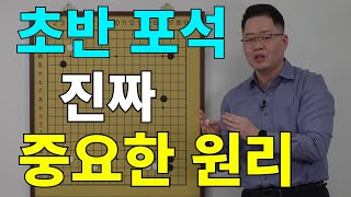 초반50수 초반 포석에서 진짜 중요한 원리 [upl. by Garett294]