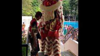 Tanglin CNY lion dance [upl. by Elleyoj]