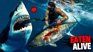 This Spearfisherman WANTED to get EATEN ALIVE By Shark And Then It Happened [upl. by Aihsetal368]