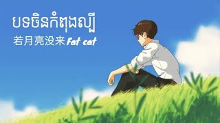 បទចិនកំពុងល្បី  Fat cat 若月亮没来 💔🕊️song sad china [upl. by Mendelson]