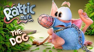 Cartoon  Rattic Mini – The Dog  Cartoons For Kids  Funny For Kids  New Cartoons 2018 [upl. by Rattan241]