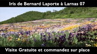 wwwirisardechecom Iris de Bernard Laporte à Larnas 07 tel 04 75 04 92 33 [upl. by Haridan]