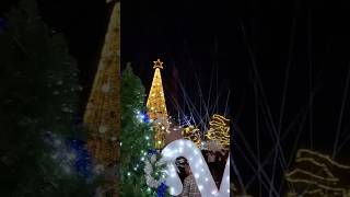 Encendido de pino y luces navideñas en Monterrey Nuevo León [upl. by Cordalia]