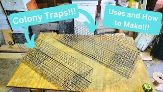 Muskrat Colony Traps  Uses and Making  In The Fur Shed [upl. by Eannaj]