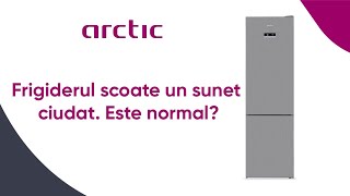 Frigiderul scoate un sunet ciudat Este normal  Arctic 2022 [upl. by Madonna]