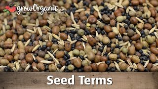 Understanding Seed Terms [upl. by Brosy]