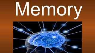 Working memory model of memory part 2 PSYCHOLOGY human memoryMeta memory part 2 ugcnet [upl. by Dene329]