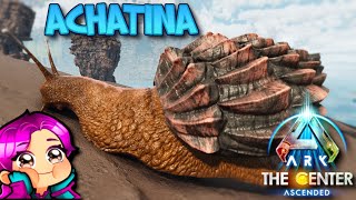 WHERE TO FIND ACHATINA THE CENTER Ark Survival Ascended [upl. by Aicened]