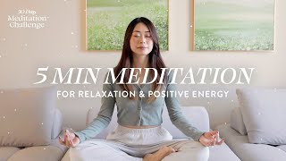 5 Minute Meditation for Relaxation amp Positive Energy  30 Day Meditation Challenge [upl. by Anilec861]