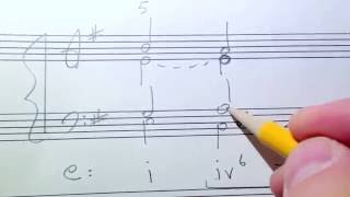 Phrygian Cadences Music Theory Discussion [upl. by Marlowe]