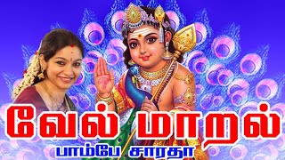 வேல் மாறல்  Vel Maaral  powerful murugan song  Saradha Raaghav [upl. by Kloman]