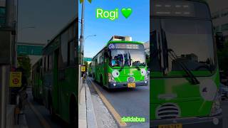 Rogi 💚 로기 💚 마을버스 서초08 [upl. by Selin]