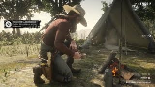 Red Dead Redemption 2  Herboriste rang 5 [upl. by Aihsilat]