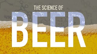 How is Beer Made [upl. by Rosaleen498]