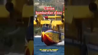 Un avion pas comme les autres ceci est un bombardier deau pour les incendies fire avion fyp [upl. by Herby492]