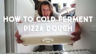 How to cold ferment your pizza dough [upl. by Daegal905]