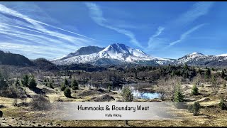 Hiking Hummocks to Boundary West to Johnston Ridge Observatory MSH [upl. by Asenab]