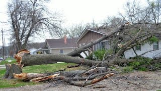 Dangerous Idiots Tree Felling Fails Compilation With Chainsaw Removal Fails Tree Falling On Houses [upl. by Ten]