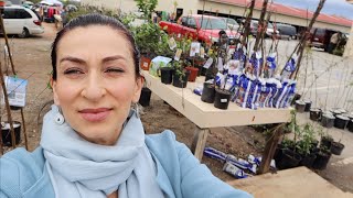 Shopping for Trees from Barnyard Flea Market  Heghineh Family Vlogs [upl. by Yrtua780]