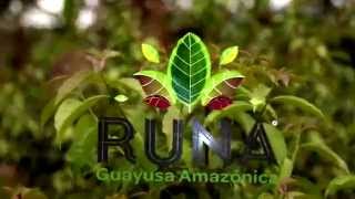 RUNA Guayusa Amazónica [upl. by Aihsenal794]