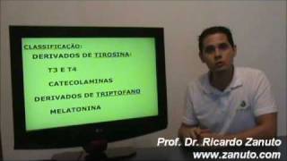 Sistema Endócrino e Hormônios Amínicos  Prof Dr Ricardo Zanuto [upl. by Euqinom]