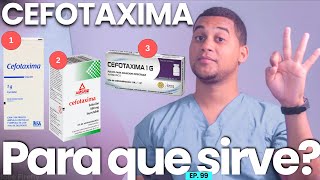 CEFOTAXIMA PARA QUE SIRVE  3 COSAS [upl. by Ydorb218]