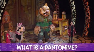 What is a Pantomime [upl. by Adimra]