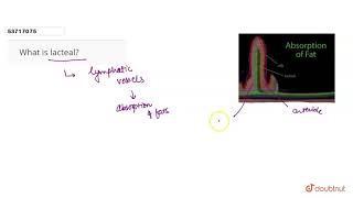 What is lacteal  11  DIGESTION AND ABSORPTION  BIOLOGY  PRADEEP  Doubtnut [upl. by Mauro]