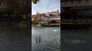 Wallenstein Garden I Prague Czech Republic 🇨🇿 I 2024 short europe travel prague [upl. by Berl]